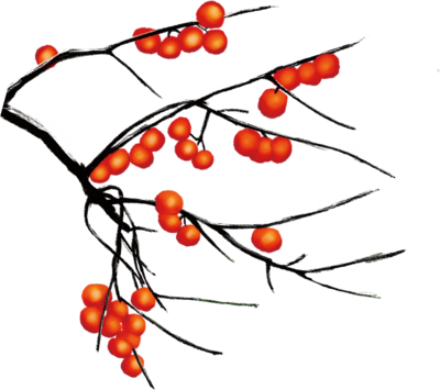 大雪時(shí)節(jié)紅柿香
