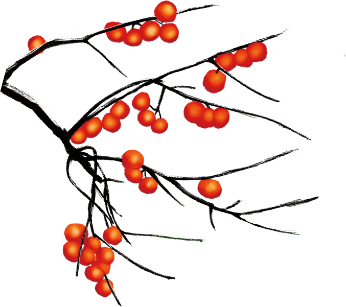 大雪節氣紅柿子海報印章制作指南